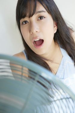 玫瑰之战剧情介绍